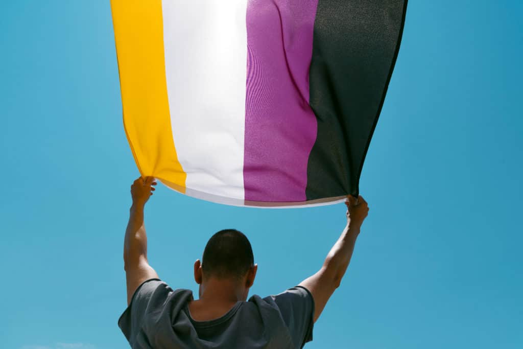 nonbinary pride flag